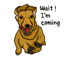 Dog Language sticker #10914483