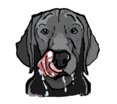 Dog Language sticker #10914488