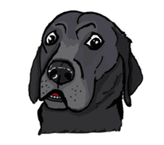 Dog Language sticker #10914489