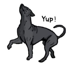 Dog Language sticker #10914490