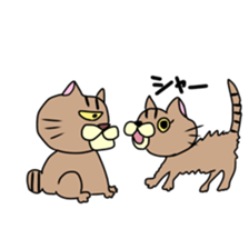 Everyday cat momo2 sticker #10914937