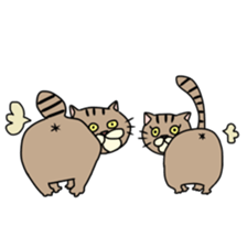 Everyday cat momo2 sticker #10914941