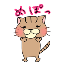 Everyday cat momo2 sticker #10914947