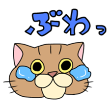 Everyday cat momo2 sticker #10914950