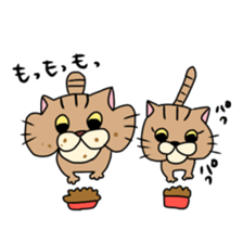 Everyday cat momo2 sticker #10914952