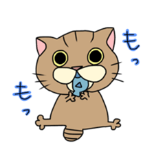 Everyday cat momo2 sticker #10914954