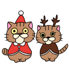 Everyday cat momo2 sticker #10914955