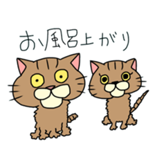 Everyday cat momo2 sticker #10914958