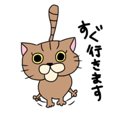Everyday cat momo2 sticker #10914959