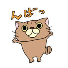 Everyday cat momo2 sticker #10914963