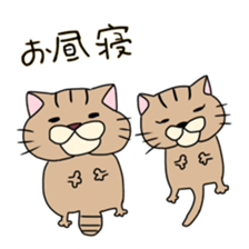 Everyday cat momo2 sticker #10914968