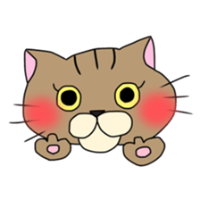 Everyday cat momo2 sticker #10914969