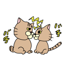 Everyday cat momo2 sticker #10914970