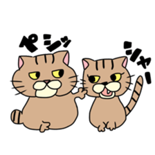 Everyday cat momo2 sticker #10914972