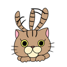 Everyday cat momo2 sticker #10914973