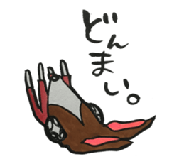 NUE STICKER 2 sticker #10915024