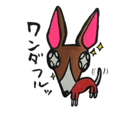 NUE STICKER 2 sticker #10915025