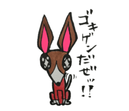 NUE STICKER 2 sticker #10915026