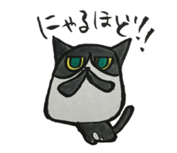 NUE STICKER 2 sticker #10915050