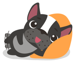 Baby French Bull sticker #10915716
