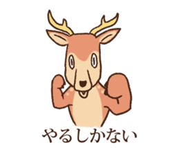 Animal gag Variety Sticker sticker #10917612