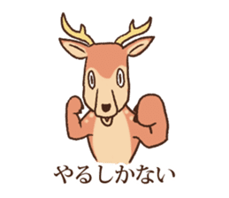 Animal gag Variety Sticker sticker #10917612