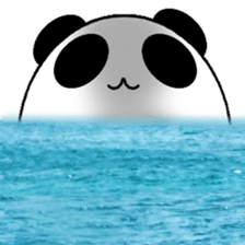 Circle Fat Panda Stickers! sticker #10918276