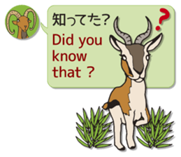 ANIMAL WORLD[English-Japanese Sentences] sticker #10919244
