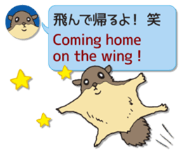 ANIMAL WORLD[English-Japanese Sentences] sticker #10919251