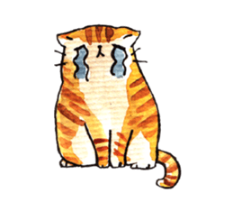 Cat Language sticker #10920309