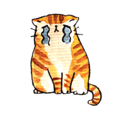 Cat Language sticker #10920309