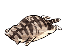 Cat Language sticker #10920311