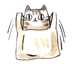 Cat Language sticker #10920329