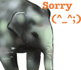 ZOO METAL sticker #10922579