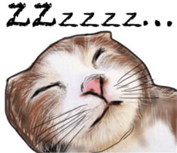 ZOO METAL sticker #10922589