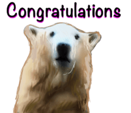 ZOO METAL sticker #10922592