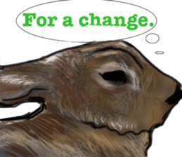 ZOO METAL sticker #10922606