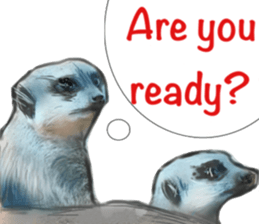 ZOO METAL sticker #10922613