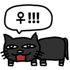 Voice of the black cat sticker #10923123