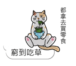 Bobble cat2 : toy story talk sticker #10923155