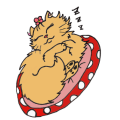 Very Very cute Cats!  "Kurumi"&"Marble"