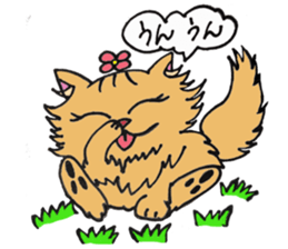 Very Very cute Cats!  "Kurumi"&"Marble" sticker #10924424