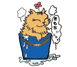 Very Very cute Cats!  "Kurumi"&"Marble" sticker #10924427