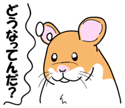 Real intention of the hamster. sticker #10927418