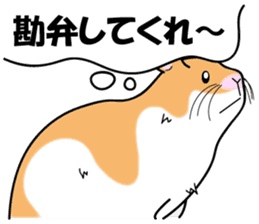 Real intention of the hamster. sticker #10927420