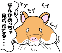 Real intention of the hamster. sticker #10927425