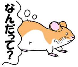 Real intention of the hamster. sticker #10927429