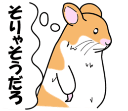 Real intention of the hamster. sticker #10927431
