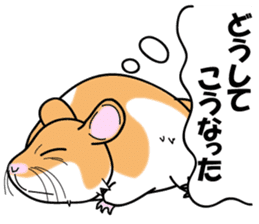 Real intention of the hamster. sticker #10927435