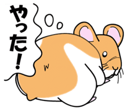 Real intention of the hamster. sticker #10927445